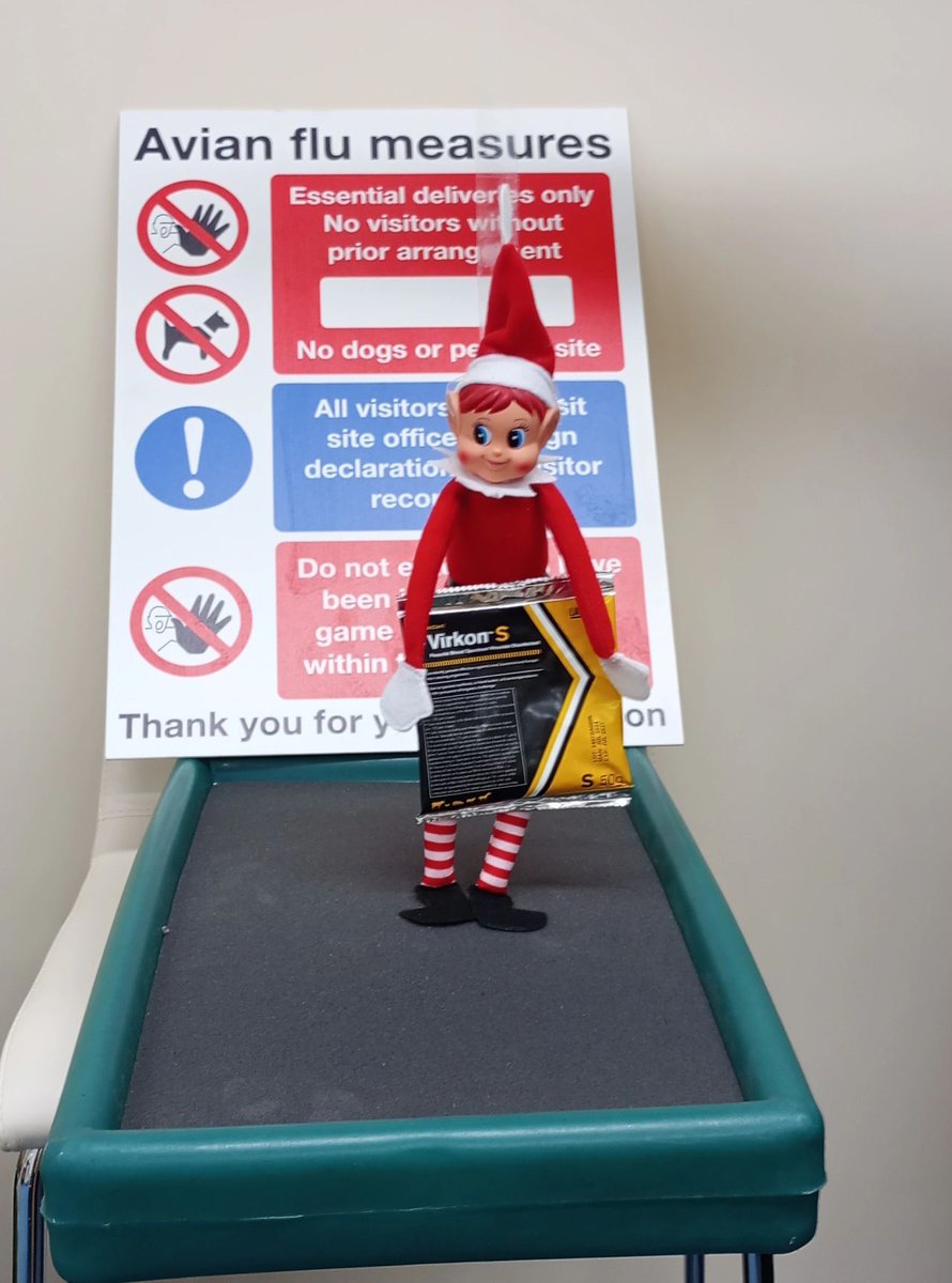 The office elf is setting a good example!
Following all the important biosecurity tips to keep his farm free from AI.😷