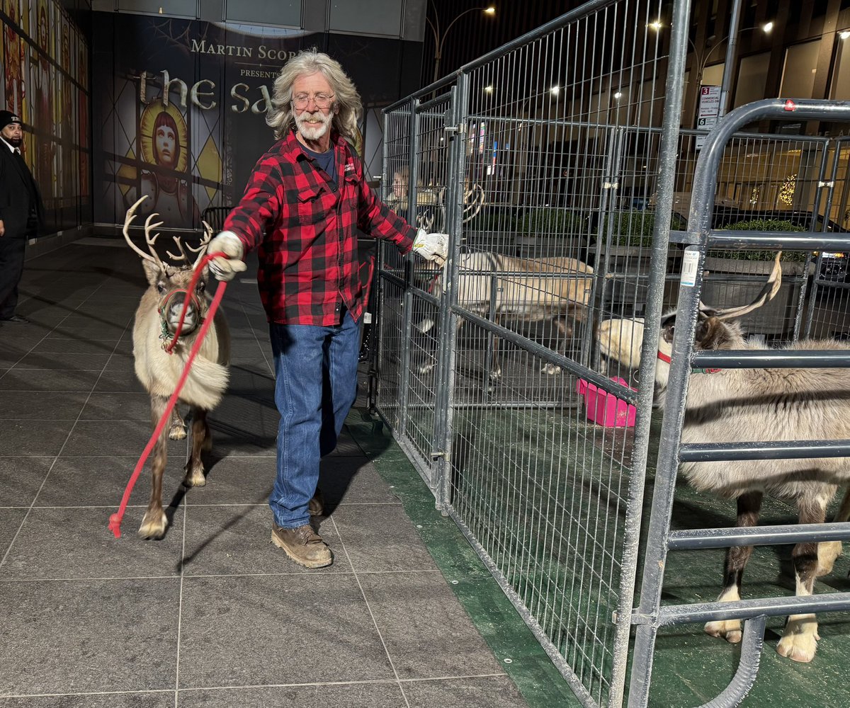 LILIANNY's tweet photo. Sometimes a #reindeer needs a nice warm getaway. Or spotted in midtown #manhattan this morning. https://t.co/4Mq7N5qXvt