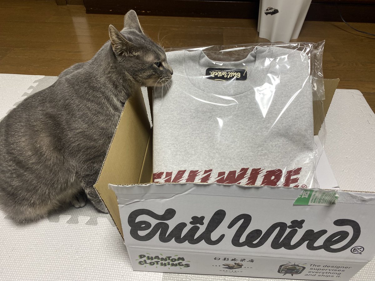 lack_466's tweet image. 届きました😁
#EVILWIRE
#ランブルパーティ