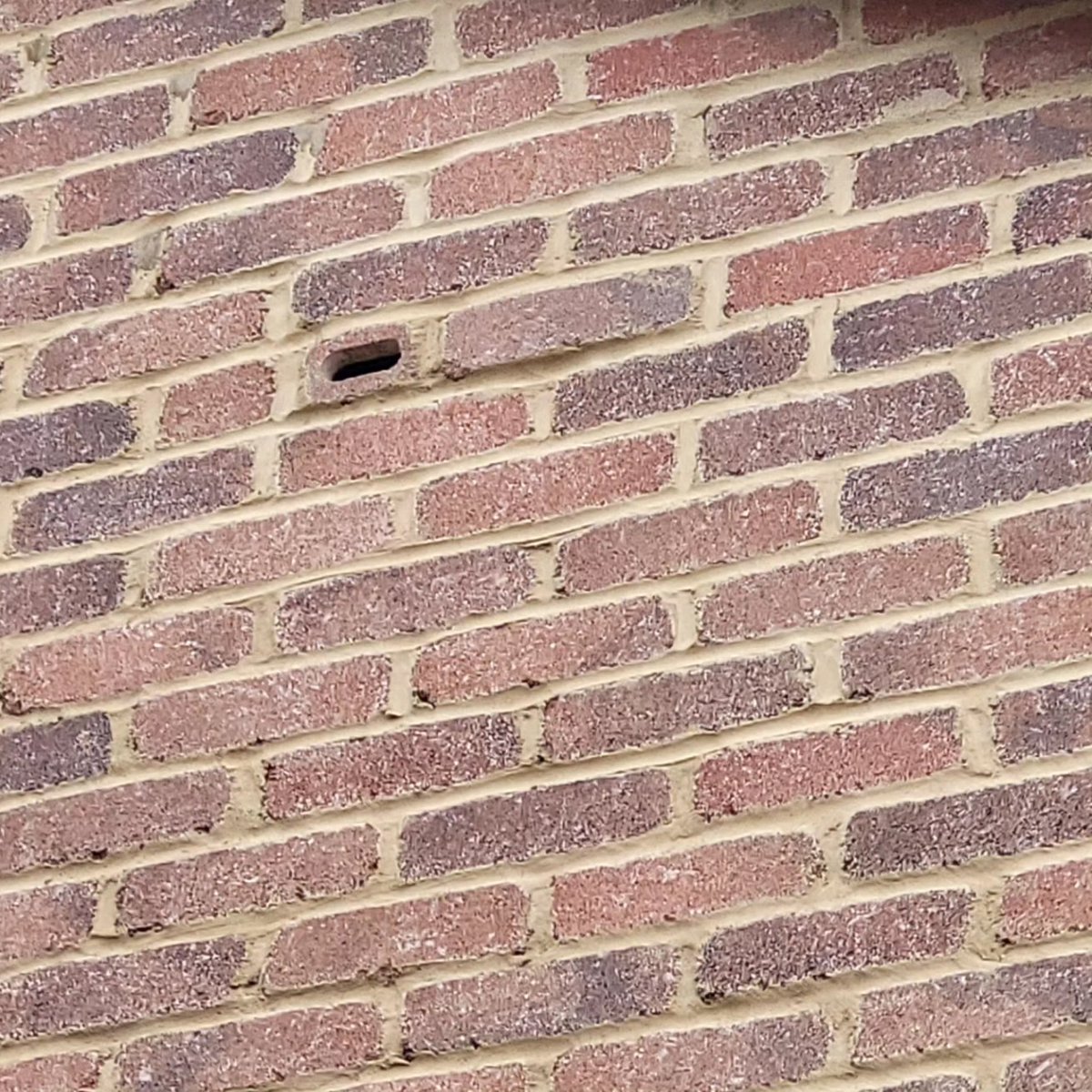 bandbswifts's tweet photo. Delighted that #WatsonHomes are putting in 1 #SwiftBrick per home on the new #CreamsMill development in Little Lever, #Bolton. Bricks have started going in, also #Batbricks #HedgehogHighway #Nativeplanting #Canal restoration &amp; aquatic margins will be included.  Looking good 🤞🏼 https://t.co/OAnz6oBrR8