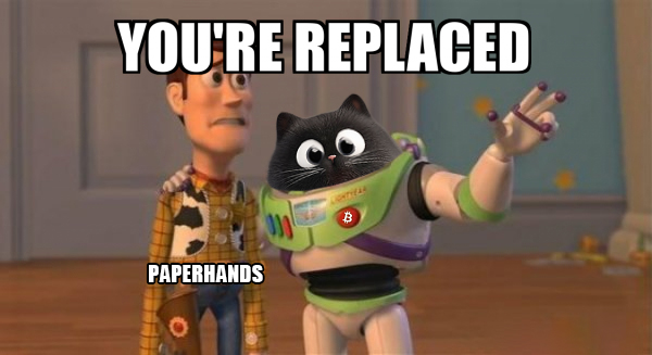 BitCat_sol_'s tweet photo. BYE BYE PAPERHANDS https://t.co/YXesaY7rFM