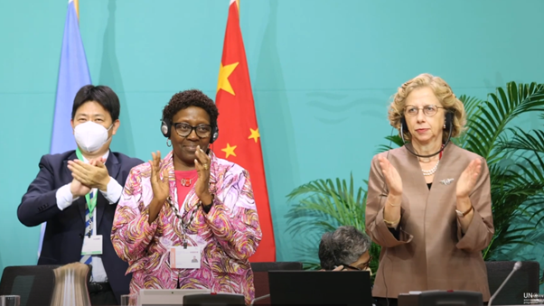 Two years ago, the world united for the Kunming-Montreal Global Biodiversity Framework #GBF to protect biodiversity.

As we celebrate, we look forward to deepening implementation worldwide thanks to the support, among others, of the #EU.