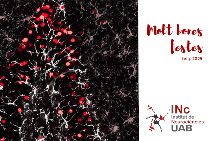 Institut de Neurociències UAB (@inc_uab) on Twitter photo With this adaptation of a microscopy image by Uxía Fraga, from the Dr <a href="/MarPuigde/">Mar Puigdellívol Canyadell</a>'s lab, we wish you a joyful holiday season and a wonderful start to the new year! With this adaptation of a microscopy image by Uxía Fraga, from the Dr <a href="/MarPuigde/">Mar Puigdellívol Canyadell</a>'s lab, we wish you a joyful holiday season and a wonderful start to the new year!