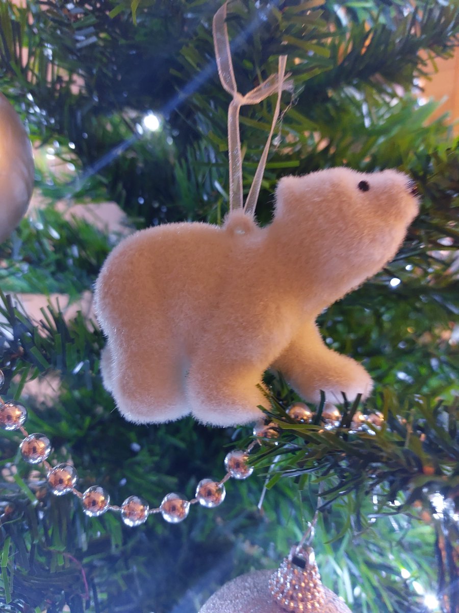 PollyBird_'s tweet photo. Season's greetings! https://t.co/2Hi9nHzaQ3