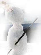 philipsnowart's tweet photo. REAL CHRISTMAS greetings Folks!... the ringtail Hen Harrier is a sketch cloned onto an old  photo;...The 2nd Hen Harrier  is an  superb albino male from the the upcoming  Arran Birds book......plus other Close Encounters of a Snowy Kind! https://t.co/9FTNfH8la3