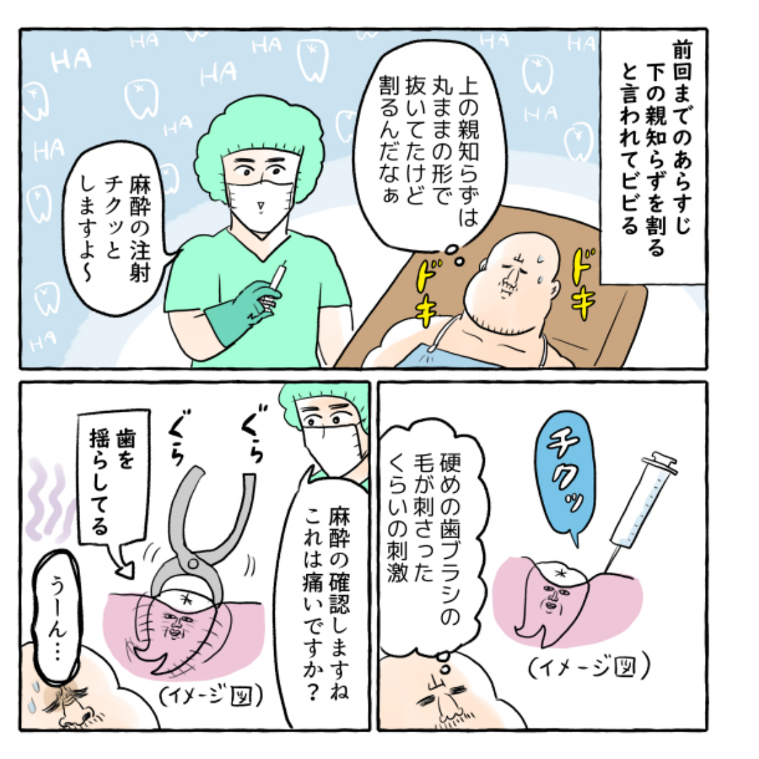 (3/6) 