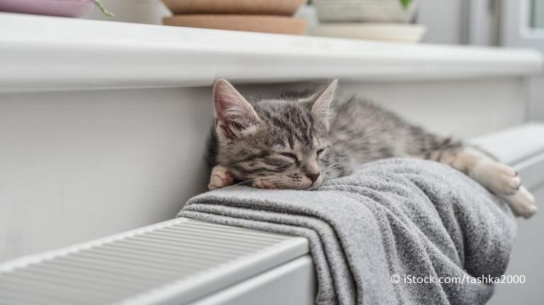 Dynamische #Stromtarife, sinkende #Einspeisevergütung, steigende Preise für #Treibhausgase, … Das neue Jahr bringt für Verbraucher:innen rund um die Themen Heizen und Strom einige Veränderungen mit sich. Das sollten Sie jetzt wissen 🔌 vzhh.de/themen/bauen-i…