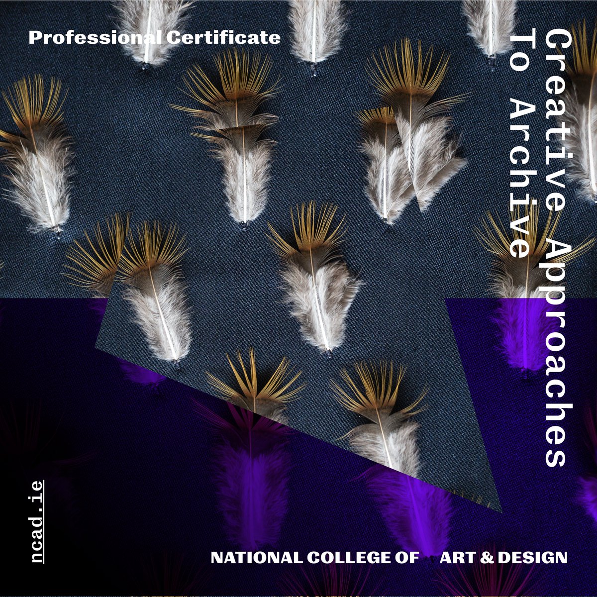 NCAD_Dublin's tweet photo. Join CFA @ NCAD for our Professional Certificate in Creative Approaches to Archive.

📅 20 Jan 2025 - 3 Mar 2025.

📚Onsite learning at NCAD Campus.

More information available through the link in bio.

#postgradfutures #postgraduate #studyireland #postgraduatestudies https://t.co/7xfR2TQsZr