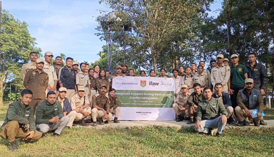 wti_org_india's tweet photo. WTI, in collaboration with @assamforest & supported by @ifawglobal and @HCL_Foundation, conducted a workshop on disaster response for distressed wildlife at Lakhipathar Range, Dihing Patkai National Park today. 42 frontline staff participated in the exercise.
#InServiceOfNature https://t.co/FyEsCPaZZE