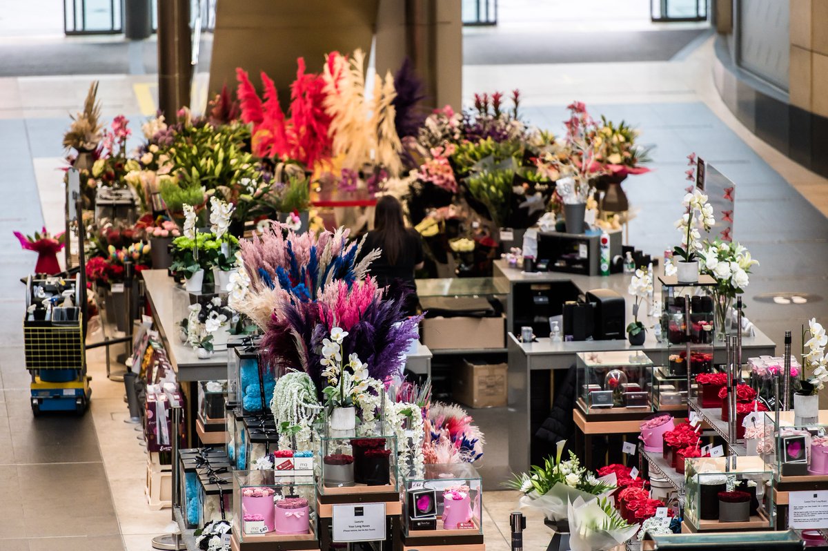 We're already halfway through January. Beat those January blues and start your week on a bright note with fresh flowers to inspire your space 💐🪴

📞 Call in to reserve yours: 07989227979