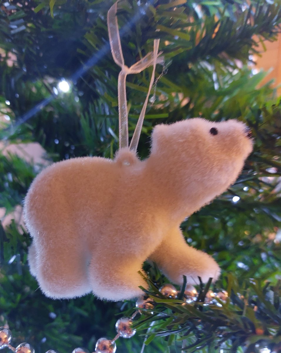 PollyBird_'s tweet photo. Season's greetings! https://t.co/nOA8Ec2fTo