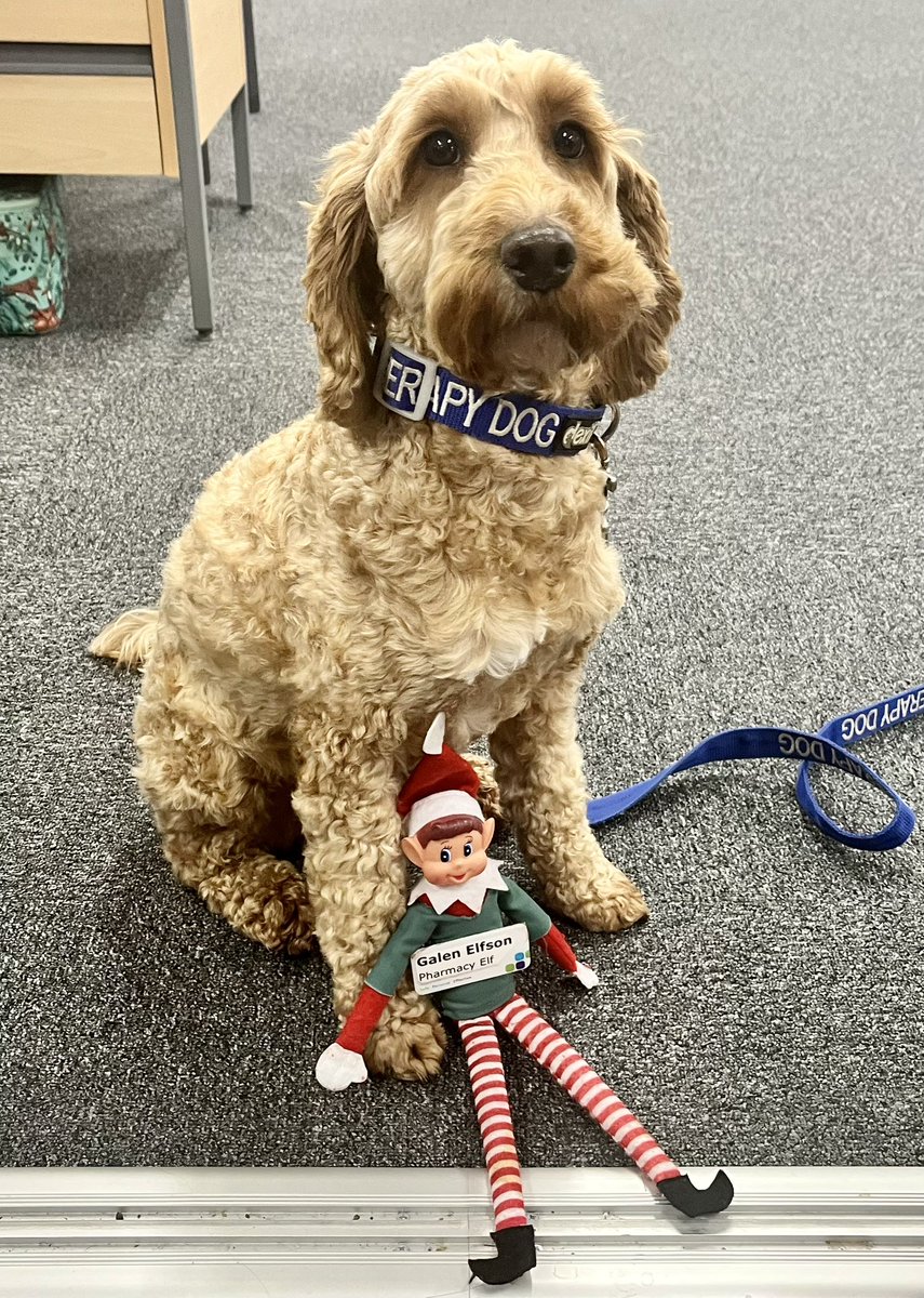 ReferToPharmacy tweet media