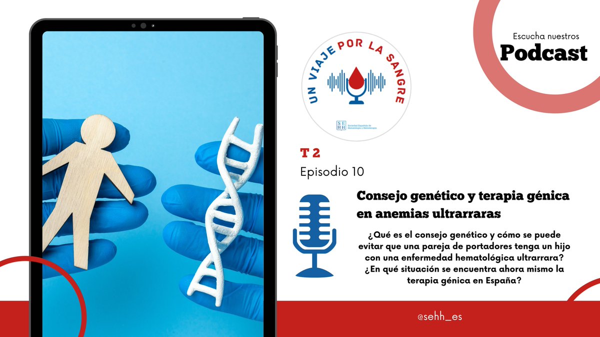 @sehh_es tweet media