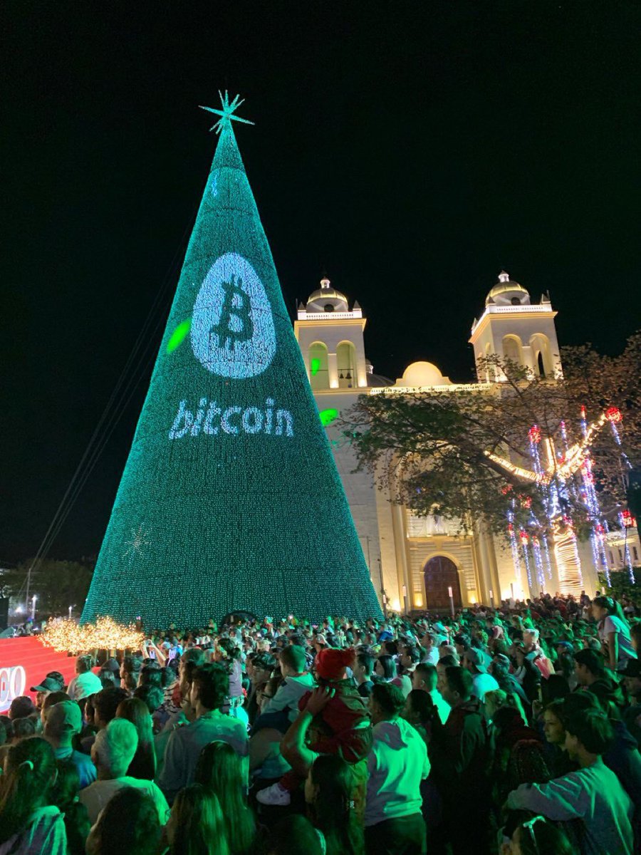 Silvita_Sorian0's tweet image. The Bitcoin Land 🇸🇻🇸🇻🇸🇻🇸🇻