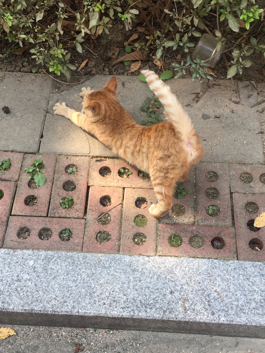 저도 공유할게요 . .