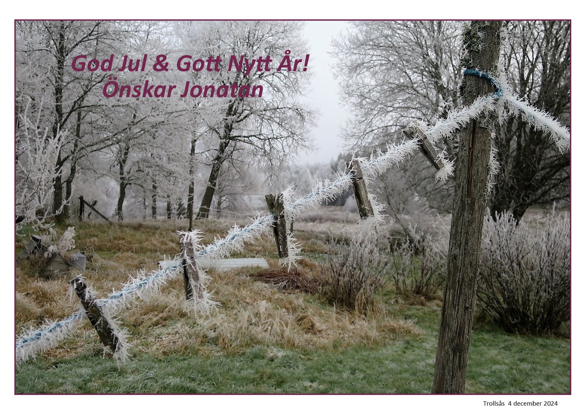 Jonatan Börjesson (@bevakarn) on Twitter photo 