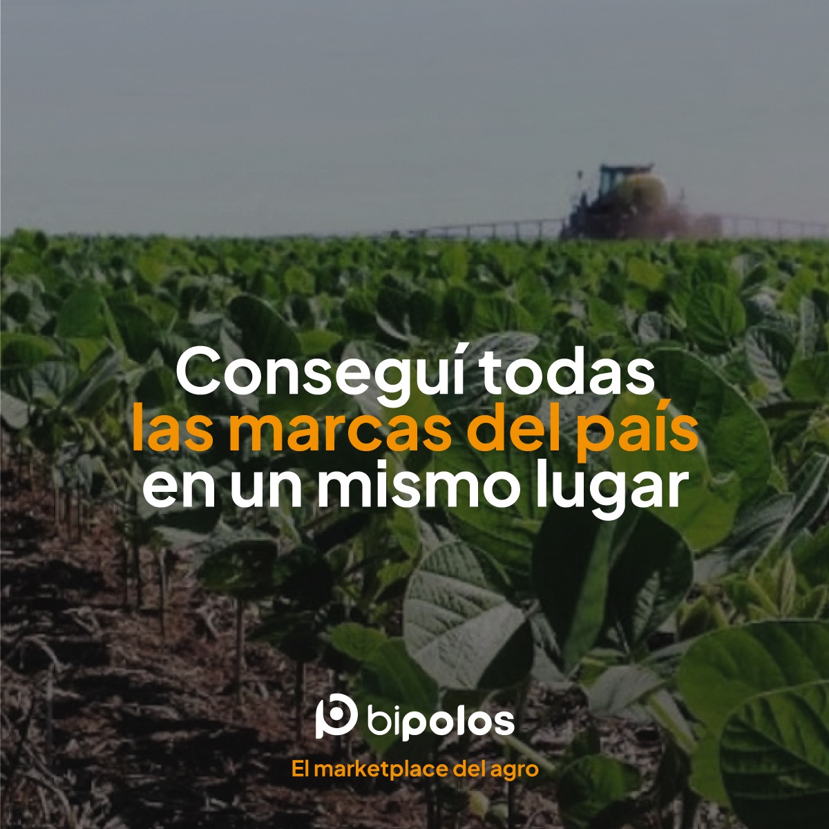 Bipolos_Arg's tweet photo. 💡Facilitá tu experiencia a la hora de comprar insumos!  

Encontrá múltiples marcas y productos, en un solo lugar, con diversas formas de pago que se ajustan a vos!  

🚜Cultivo Rendimiento, no preocupaciones.
Entrá a BIPOLOS 
https://t.co/kKkzx6Xvyf
#Agricultura #agtech https://t.co/PRjJdUYxjQ