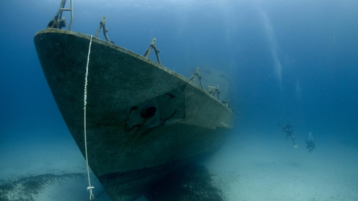 The Coral Reef Research Hub (@reef_research) on Twitter photo JOB OPPORTUNITY: Biological Scientist - Artificial Reefs (Florida Fish and Wildlife Conservation Commission)
jobs.myflorida.com/job/TALLAHASSEβ¦
The Division of Marine Fisheries Management Artificial Reef Program at the Florida Fish and Wildlife Conservation Commission (FWC) is currently JOB OPPORTUNITY: Biological Scientist - Artificial Reefs (Florida Fish and Wildlife Conservation Commission)
jobs.myflorida.com/job/TALLAHASSEβ¦
The Division of Marine Fisheries Management Artificial Reef Program at the Florida Fish and Wildlife Conservation Commission (FWC) is currently
