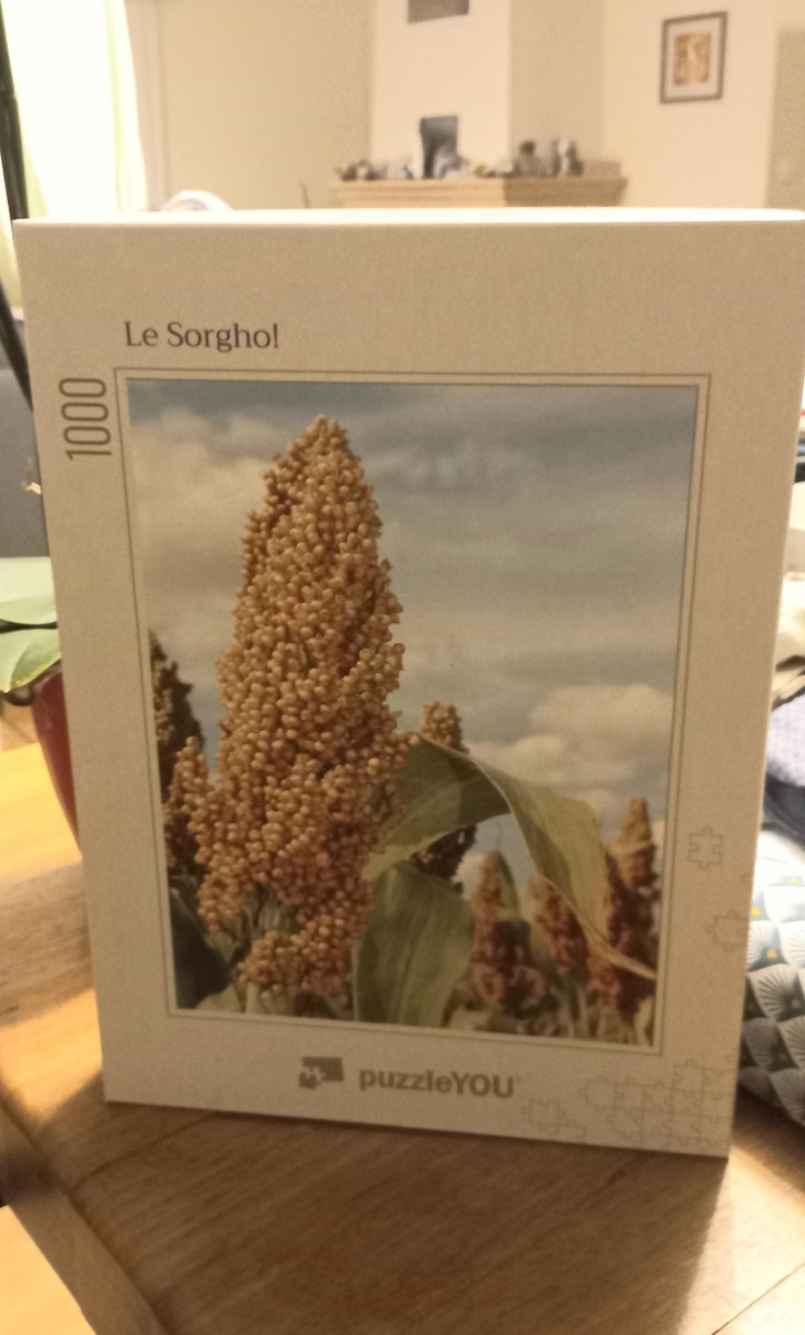 🩺 C'est grave docteur? Is it serious doctor?
Sorghum puzzle😬
La bonne nouvelle en cette fin d'année, je ne ferais pas de post jusqu'à l'année prochaine!
The good news at the end of the year, I will not make a post until next year!
Bonnes fêtes! Happy holidays!
