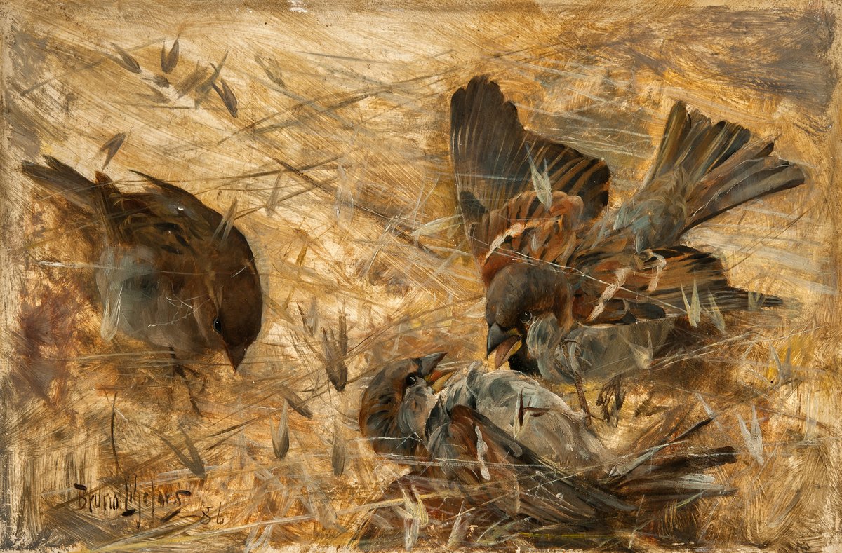 Le 16 janvier à 12h30, rendez-vous au #PetitPalais pour la conférence "Eloge des oiseaux, carnet d’un ornithologue".
👉Par Jean-Noël Rieffel, directeur régional de l’Office Français de la Biodiversité.

🏛️ À l’auditorium de 12:30 à 13h30
🎟️ Gratuit et sans réservation