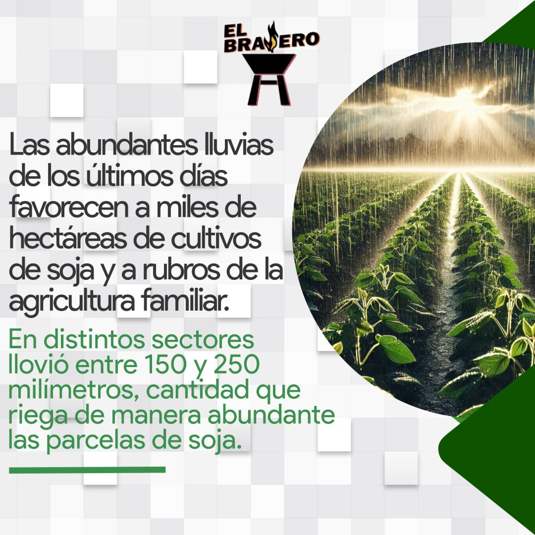 BraseroPy's tweet photo. Lluvias generan alivio a la soja y otros rubros https://t.co/w2PSdHn4h5