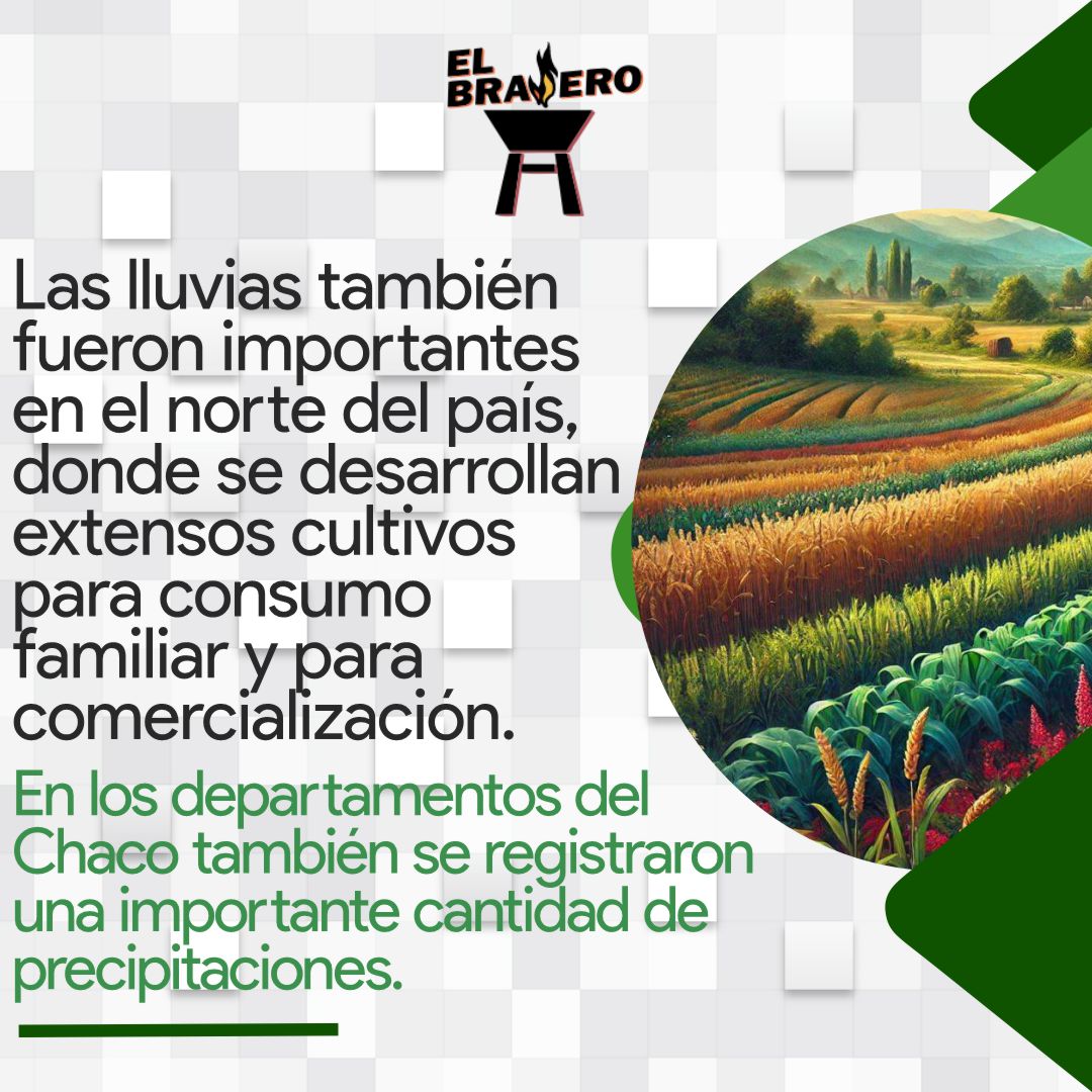 Lluvias generan alivio a la soja y otros rubros