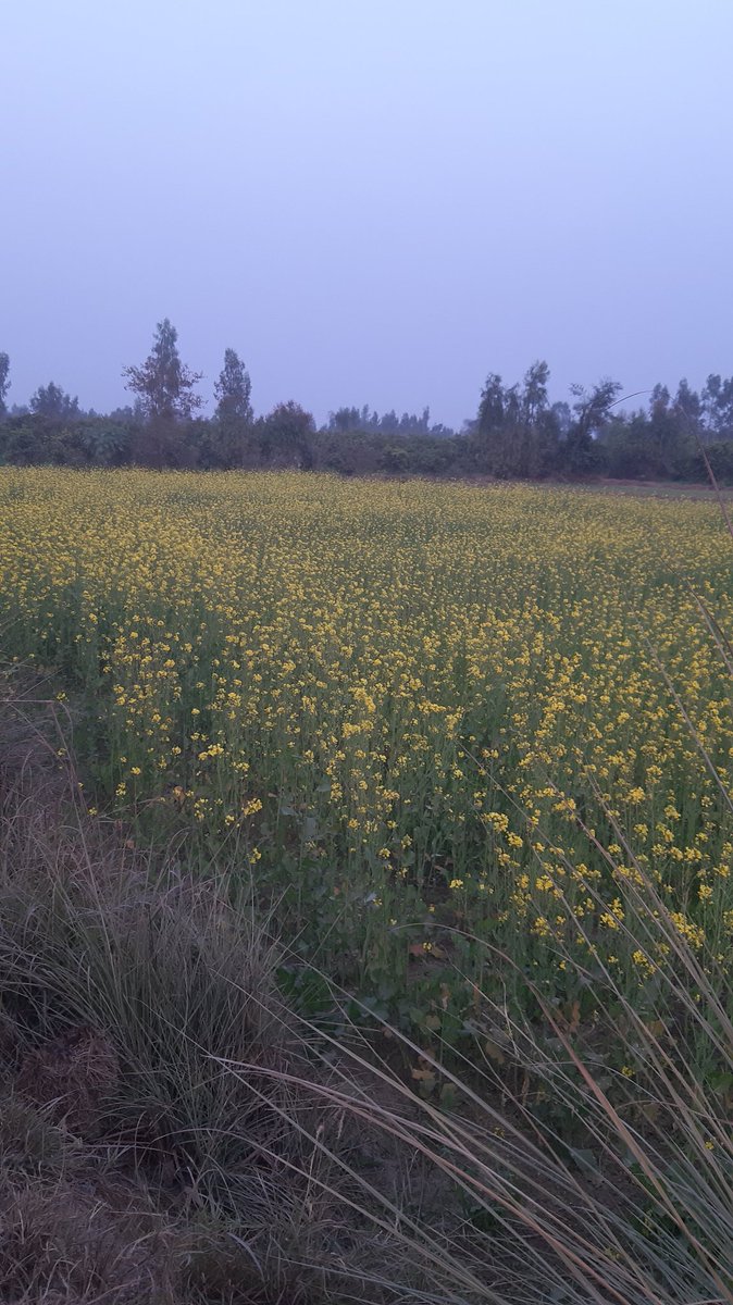 basharat567's tweet image. 