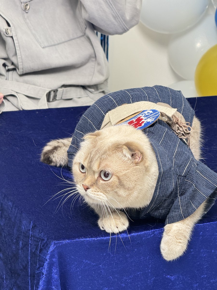 คอสตูมพิซาร์กับน้องเต้วันนี้ โซคิ้วมากก😻😻

GULF FIRST LIVE TO JP
#Gulf1stLivest