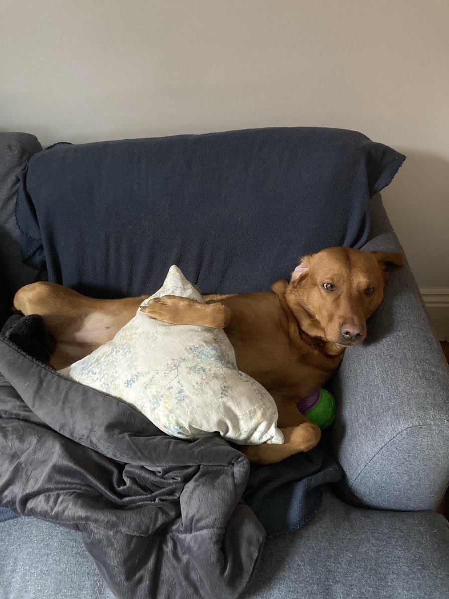 Jo Makel tweet media