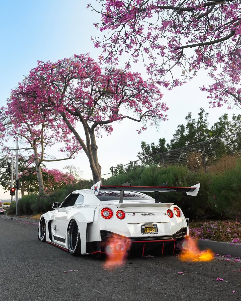 DailyGTRTM's tweet photo. R35 🌸 https://t.co/3NTUTaQx7q