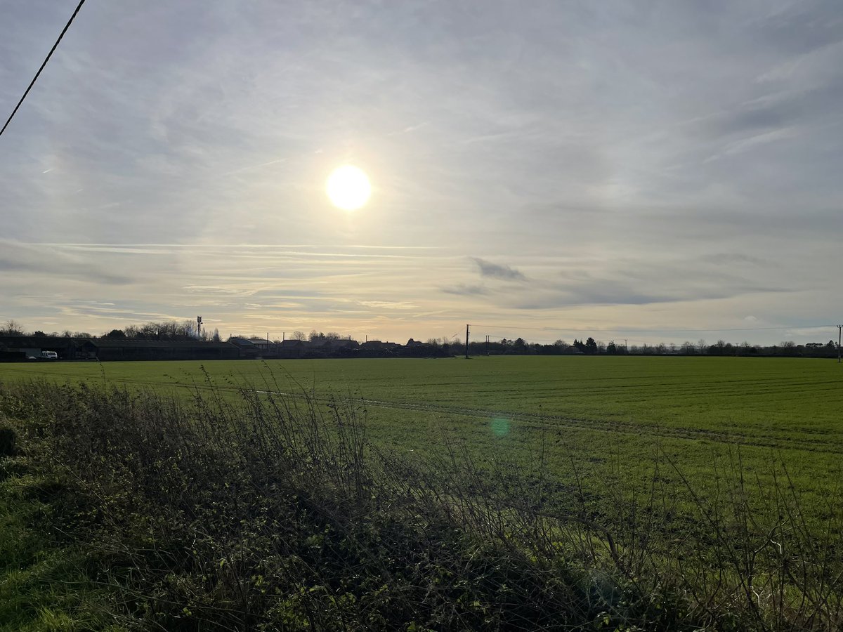 A beautiful day for a run and new beginnings! 😁