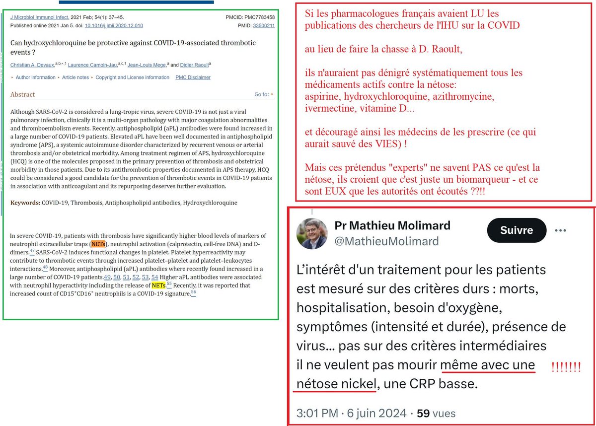 Woodynist's tweet photo. .@raoult_didier @Philippe_Parola @BrouquiPhilippe @Pr_Chabriere_E 
@univamu 

BRAVO
aux équipes de l'@IHU_Marseille qui,
contrairement à d'autres équipes en France,
ont toujours veillé à communiquer VITE les informations VITALES !

#netose #covid #prevention
@patrickhetzel @ansm https://t.co/vx80VOgrCH