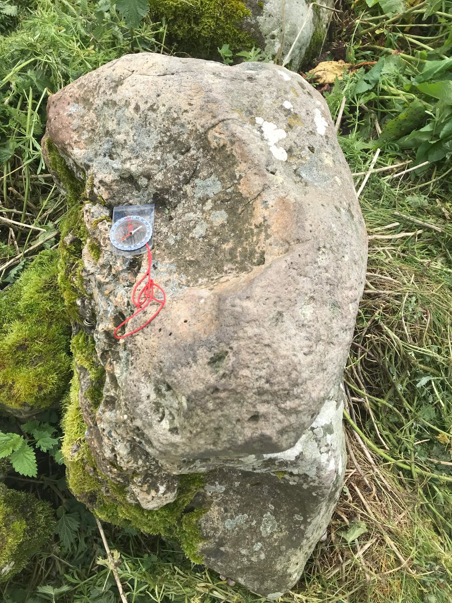 PastParticipate tweet media