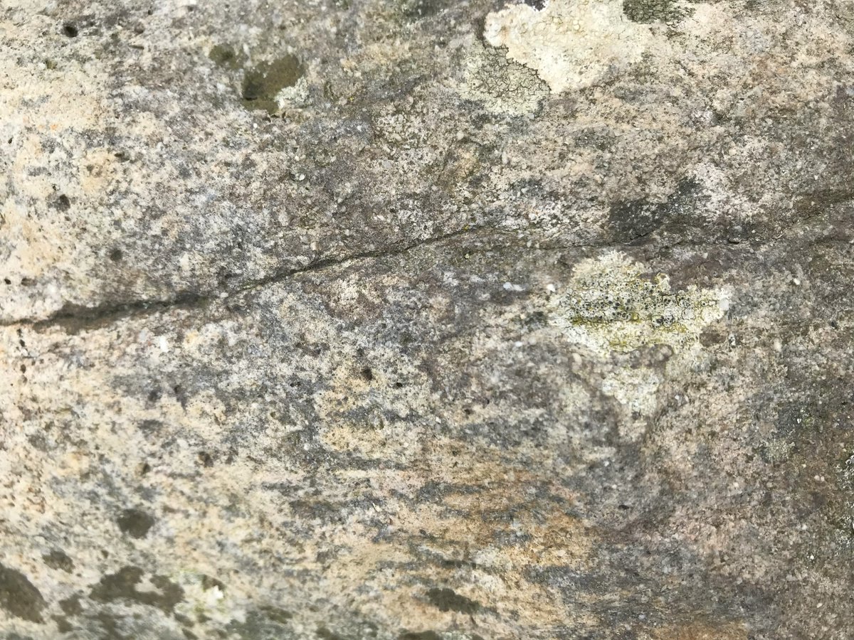 PastParticipate tweet media