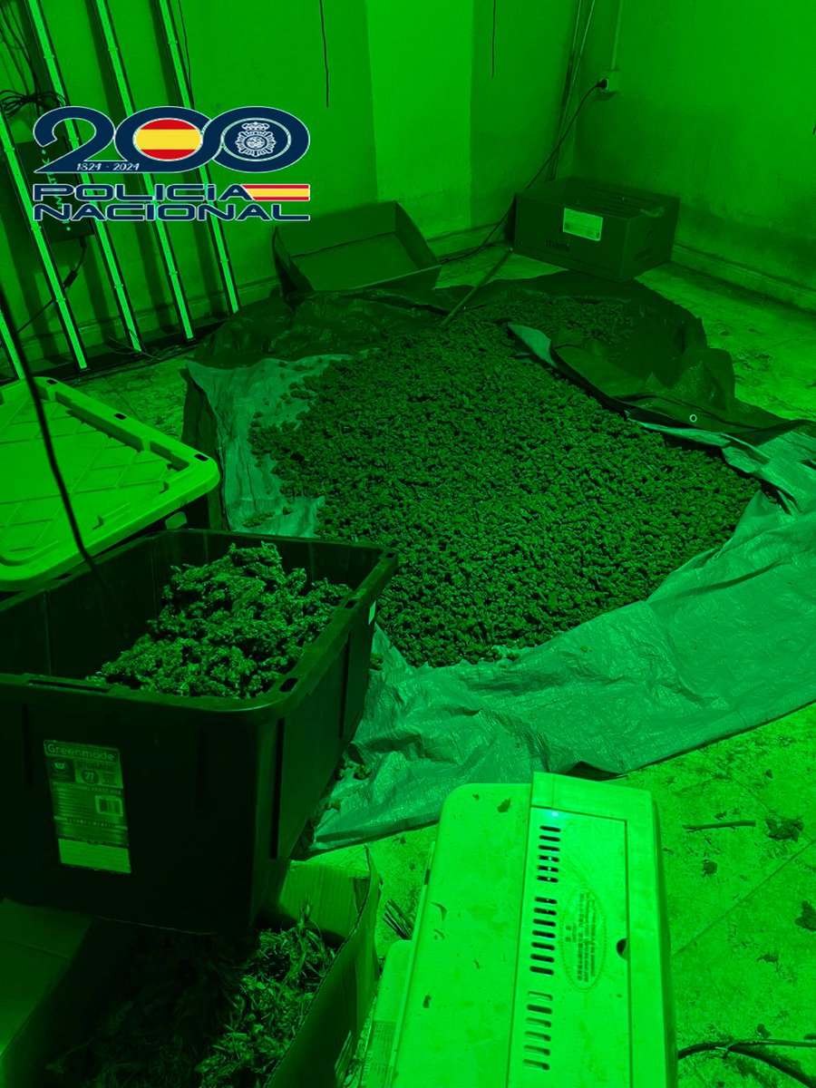 policia's tweet photo. 🚩Desmantelada una plantación de marihuana en #Riumors (#Girona), protegida por un 🐕 peligroso y numerosos sistemas de seguridad
🚨 En la plantación, ubicada en una vivienda aislada, se han intervenido 570 plantas y un chaleco antibalas https://t.co/CxE6uasNtf