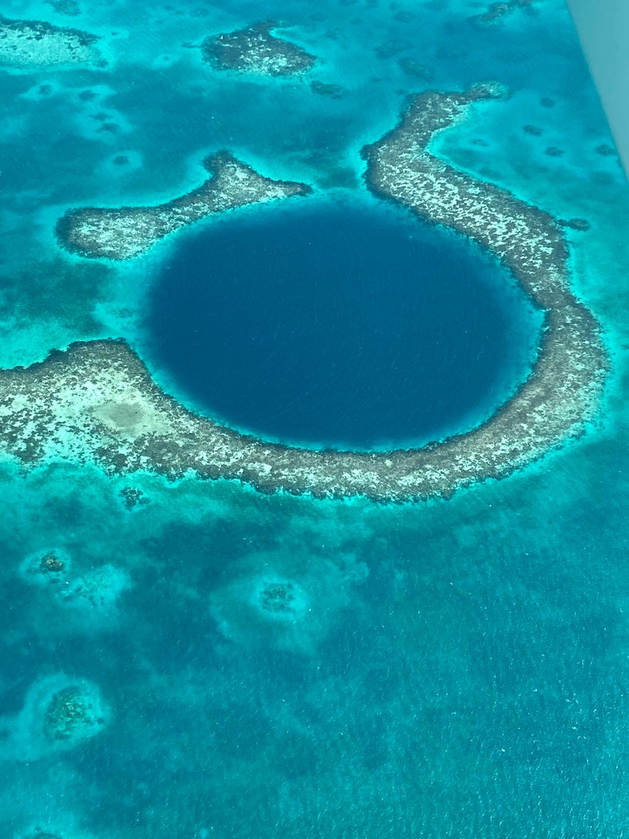 Journey Latin America tweet media