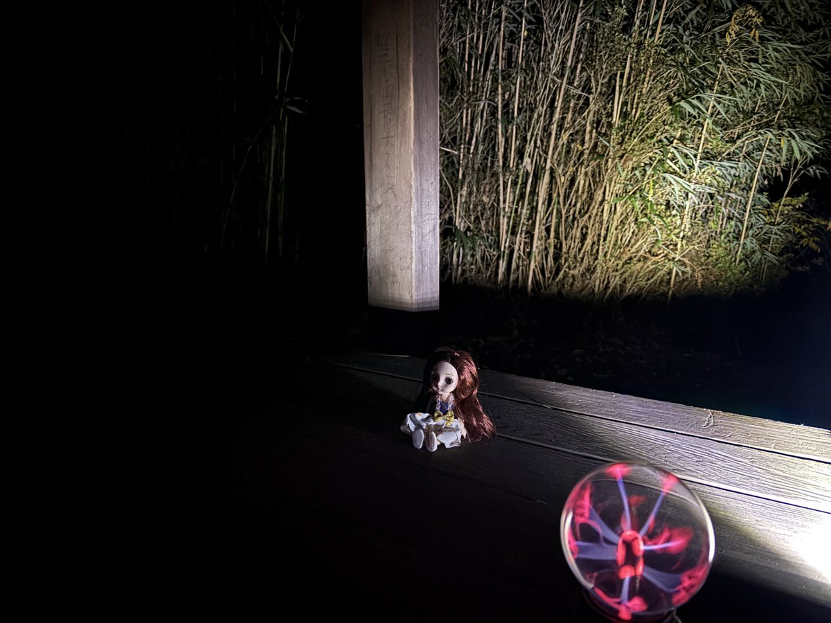 皆さまこんばんは。
12月20日(金)、今夜の心霊調査の外配信は221時半頃から開始予定です。
どうぞよろしくお願いします👻