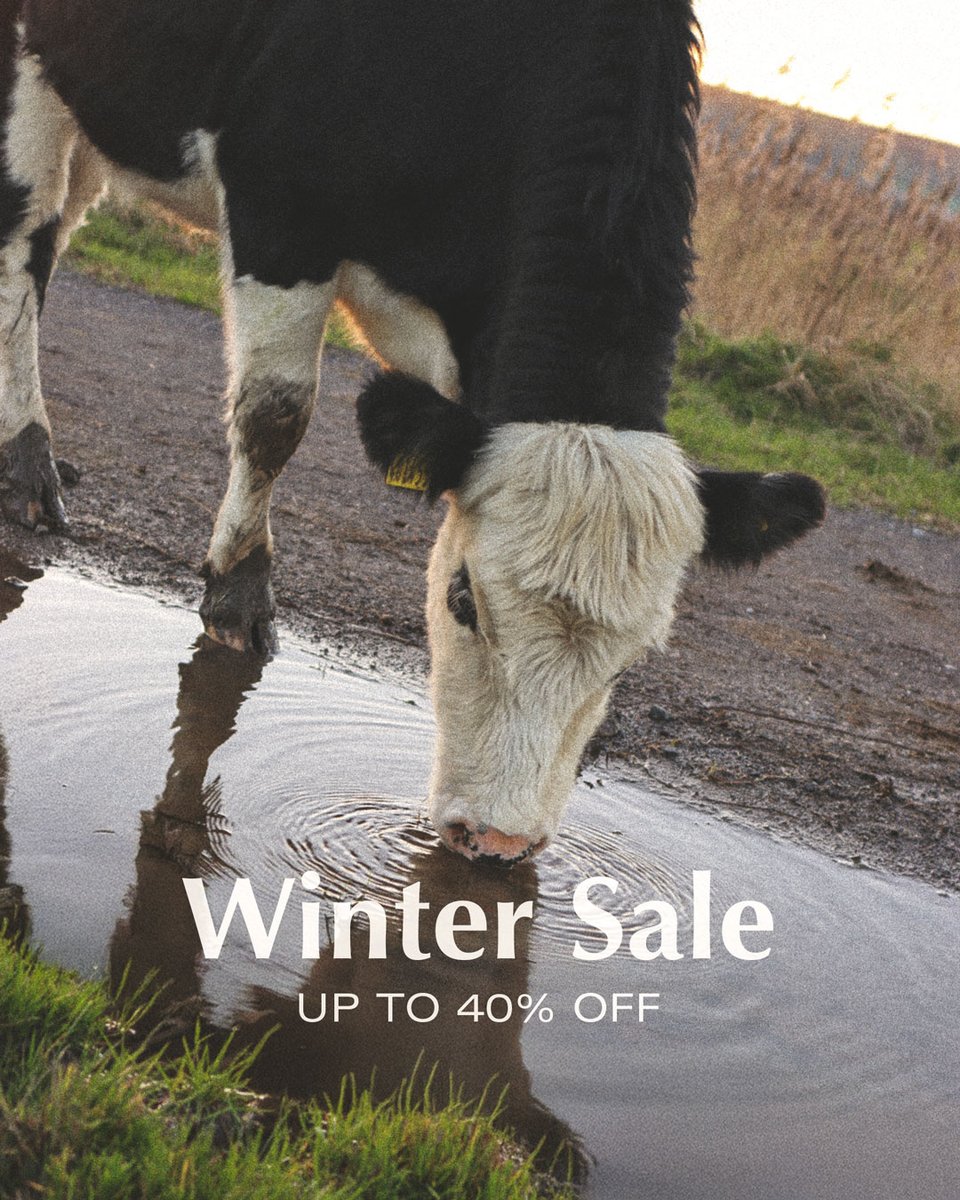 far___afield's tweet image. The Winter Sale is live! Drink it in. 🐄 #farafield
farafield.uk