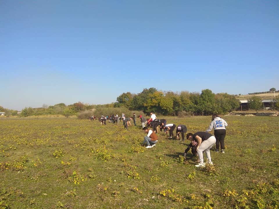 alpertuydes's tweet photo. Uludağ Üniversitesi Ziraat Fakültesi öğrencileri, veterinerlik öğrencileri, doğa dernekleri bu proje sahamıza zaman zaman gelip incelemelerde bulunurken il tarım müdürlüğünce alınan bu karar oldukça vahimdir.

Burası derslere hatta belgesellere konu olacak bir başarı öyküsü içerirken bizim konuştuğumuz tartıştığımız ve yeniden vermemiz gereken mücadele bu olmamalı!

Aşağıda Uludağ Üniversitesi öğrencilerinin bu alandaki incelemelerinden fotoğraflar görüyorsunuz;