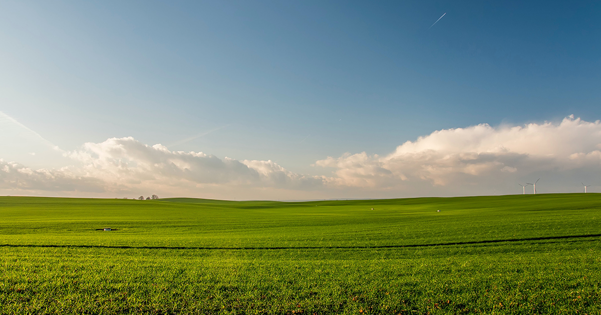 Did you know that perennial and biennial crops can be as profitable as annuals? Multi-year crops diversify your risk, spread out your harvest schedule, and reduce the number of fields to manage when spring arrives. 🌱

Contact us today! sbee.link/6fjpvru7bh