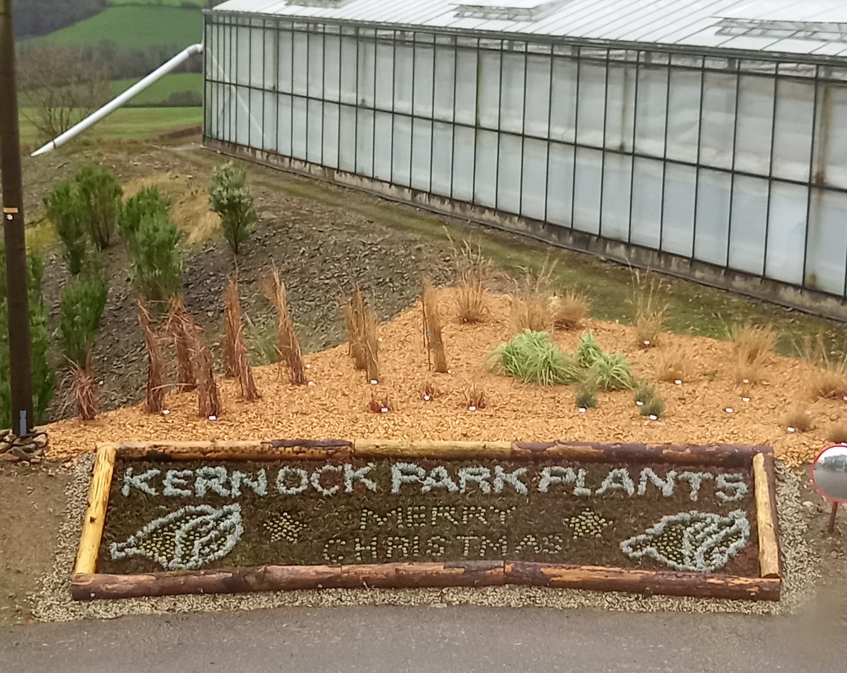 Just before we enter the Christmas week, take a look at this fantastic festive bed our team created - for the enjoyment of all KPP staff and visitors. Definitely helps with adding to that Christmas Spirit!