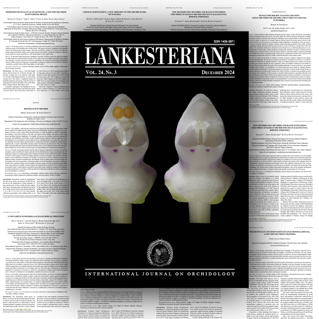 lankesteriana's tweet photo. Lankesteriana 24(3), December 2024, is here! This issue features cutting-edge orchid research, including species discoveries,  pollination studies, and the role of rostellum in orchid biology! https://t.co/GhFt7uXpig https://t.co/T0WnQFheGE #Orchidology #Botany #Lankesteriana https://t.co/BId8JW6zVM