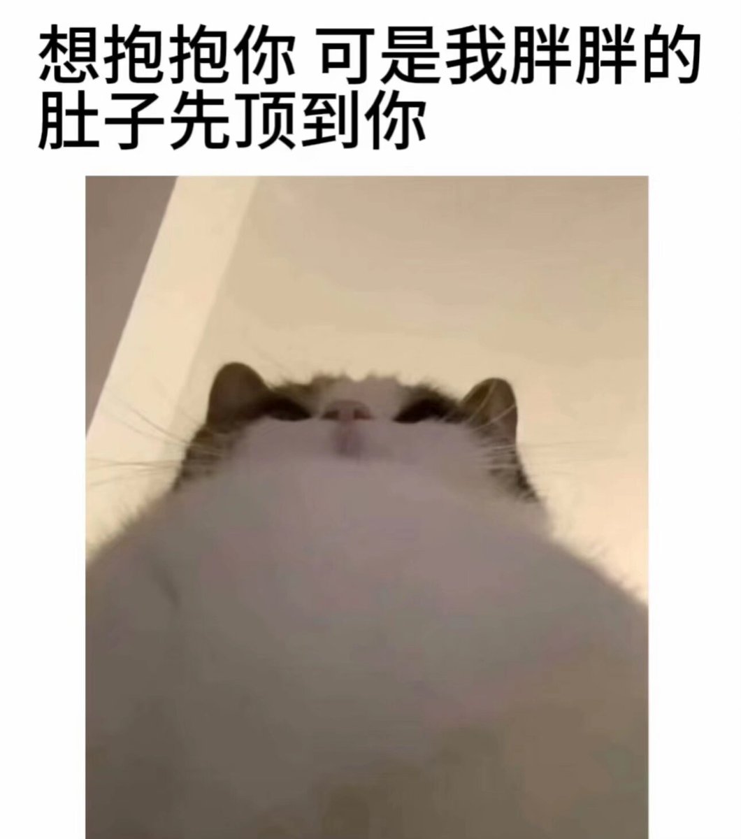 T∉UM tweet media
