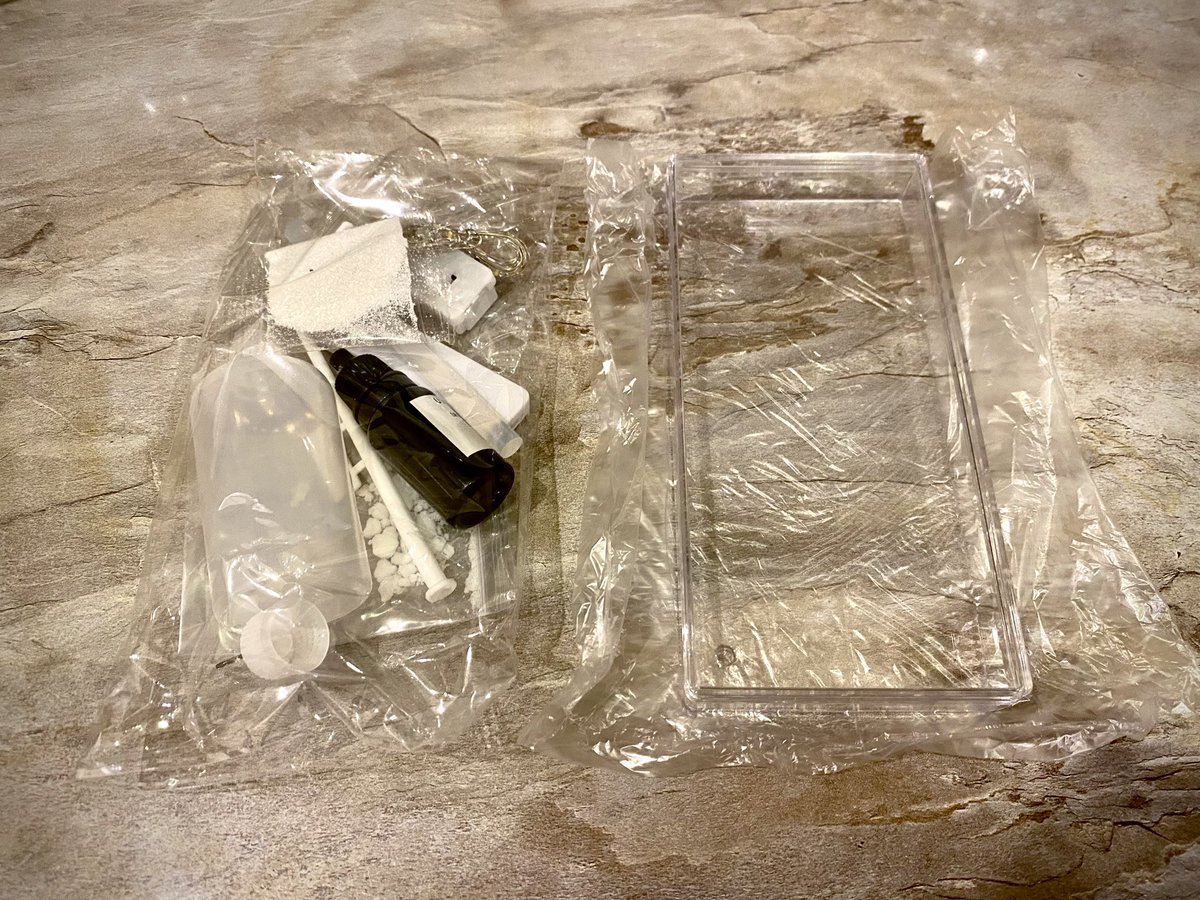 Katy Spiridonova tweet media