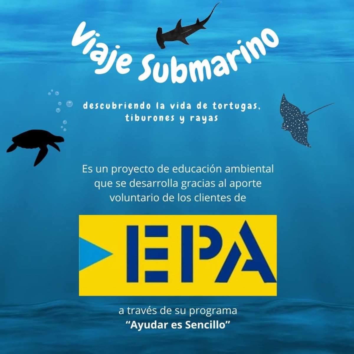 FundacionAvista's tweet photo. ¡Nuestro último Viaje Submarino de este 2024!
¡Gracias a todos por su receptividad!
En 2025 seguimos junto a @fundesus_vzla y @FerreteriaEPAVE conociendo a #tiburones #chuchos y #tortugasmarinas
👉 https://t.co/076zhMBiwX https://t.co/HZLt9m8TGq