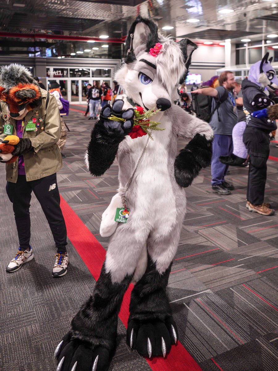 would you ask for a hug? :3 🌹
 📸 hypercat . me 🦋 #fursuitfriday
