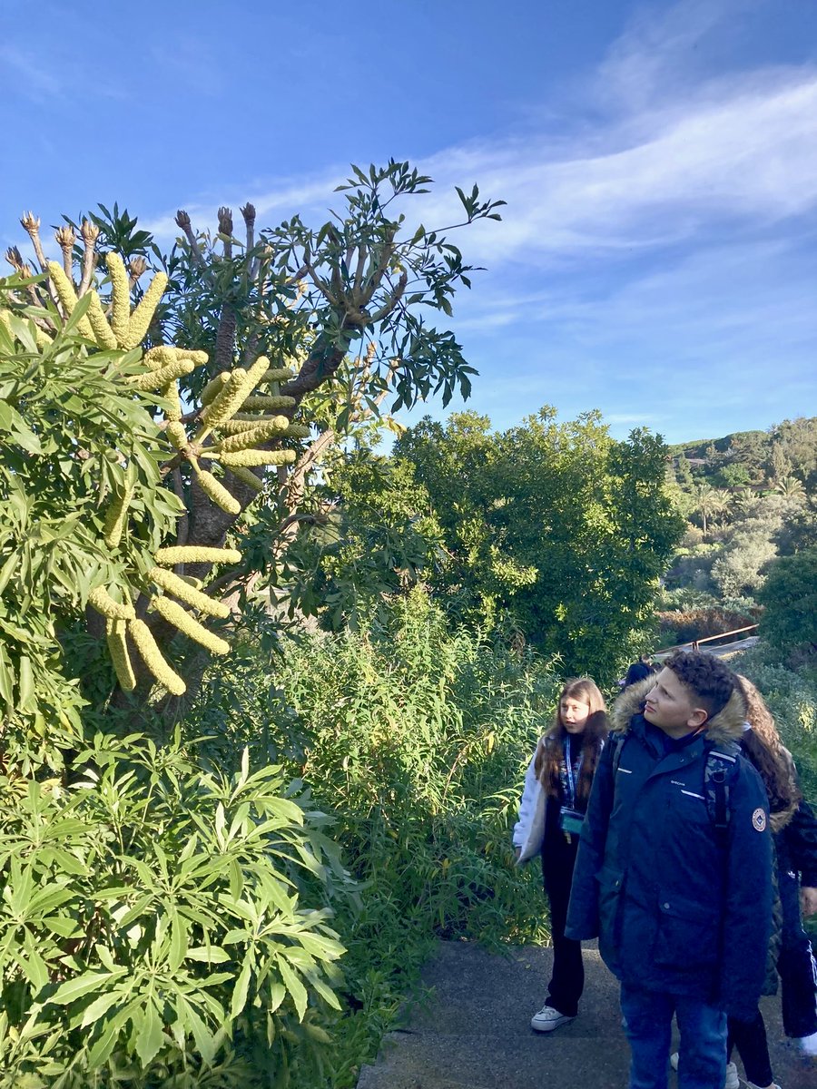 Visita a l'exposició sobre l'obra més famosa de Lewis Carroll combinada amb un passeig de descoberta pel Jardí Botànic 🐰♦️✨🌵