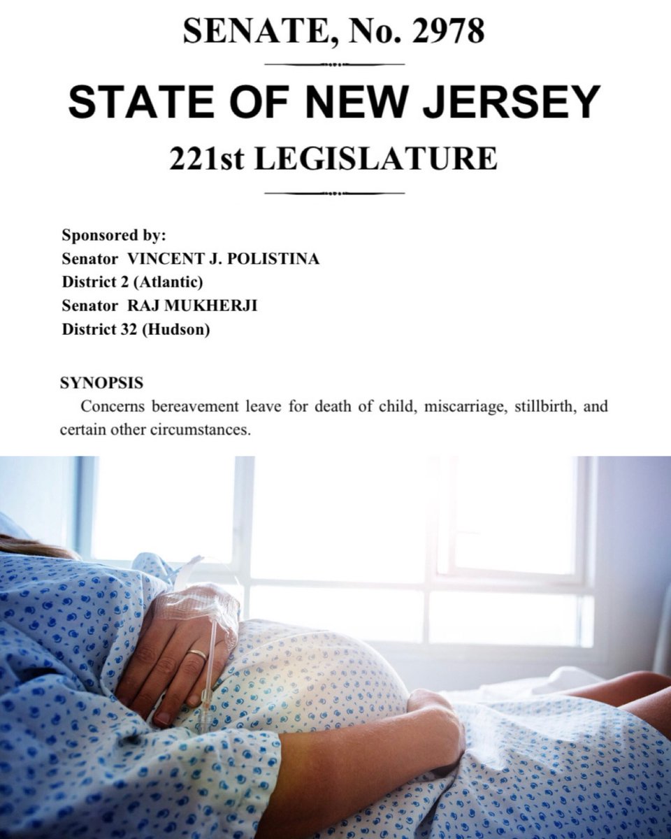 It’s unthinkable that paid bereavement leave after a miscarriage, stillbirth, or the unimaginable loss of a child isn’t already a thing (in most states, including NJ). Consider ~1 in 4 known pregnancies ends in miscarriage and grief. I thank the Senate Labor Committee for voting