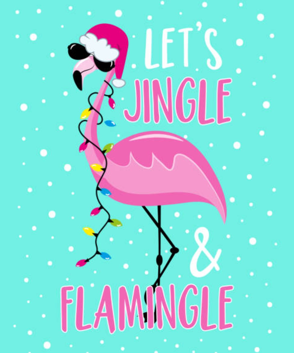 melliewink's tweet photo. Good Morning Sunshines!     
🎄🎅🌞Happy Friday!🌞🤶🎄

#GoodMorningX #FloridaSunshine https://t.co/P4JHyQzh89