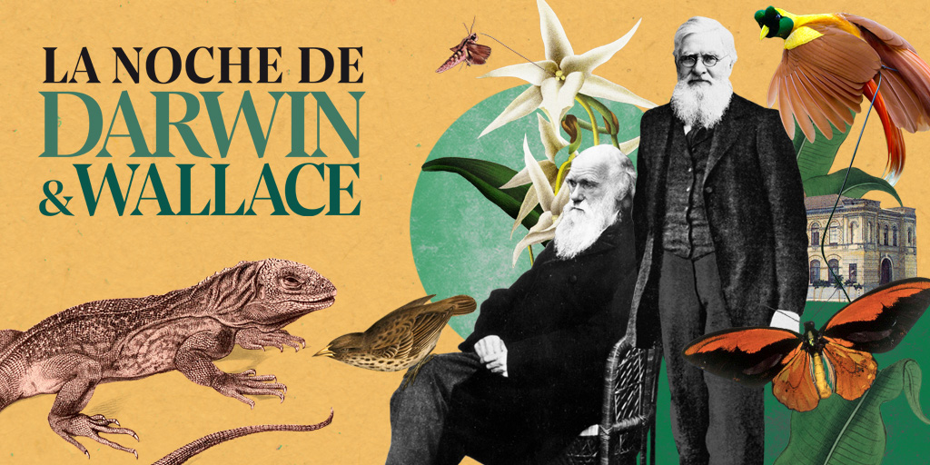 📢 ¡Entradas ya a la venta! En 2025 celebraremos la 5ª edición de este evento único en la capital. 
📆 15 de febrero. ¡No os quedéis sin entrada!
Teatro, ilustración científica en directo, colecciones, clown, cóctel, DJ y pista de baile.🕺
Más información: mncn.csic.es/es/visita-el-m…